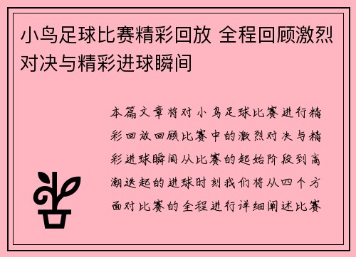 小鸟足球比赛精彩回放 全程回顾激烈对决与精彩进球瞬间